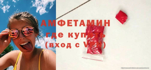 гашик Дмитров