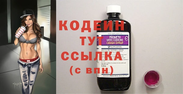 гашик Дмитров