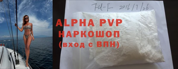 гашик Дмитров