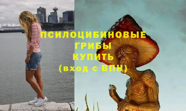 гашик Дмитров