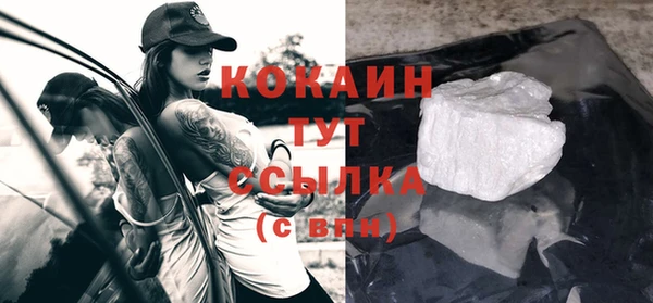 гашик Дмитров