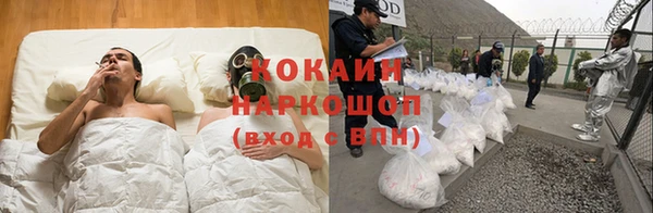 гашик Дмитров