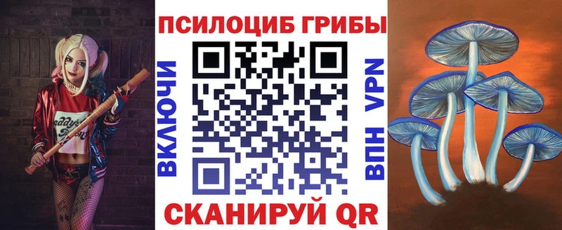 Псилоцибиновые грибы Cubensis  Купить  Новосиль 
